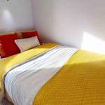 Rent 2 bedroom student apartment of 40 m² in Brighton