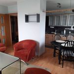 Rent 1 bedroom apartment of 56 m² in Katowice