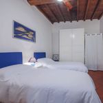 Rent 2 bedroom apartment of 66 m² in Firenze