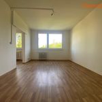 Rent 1 bedroom apartment of 30 m² in Karviná