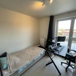 Huur 2 slaapkamer huis van 100 m² in Wevelgem
