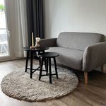 Rent 1 bedroom apartment of 33 m² in Stuttgart