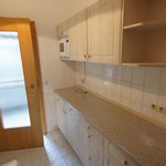 Rent 2 bedroom apartment of 45 m² in Plauen
