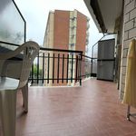 Affitto 1 camera appartamento di 50 m² in Collegno