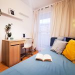 Rent 5 bedroom apartment in Krakow