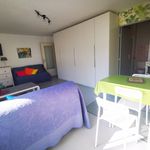 Rent 1 bedroom apartment of 35 m² in Toulon