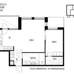Rent 2 bedroom apartment of 55 m² in Oulu