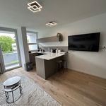 Rent 1 bedroom apartment of 36 m² in München