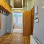 Rent 1 bedroom apartment of 58 m² in Budapest
