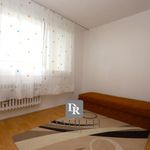 Rent 3 bedroom apartment of 70 m² in Město Albrechtice