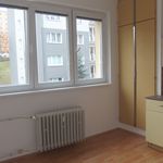Rent 1 bedroom apartment of 1 m² in Chrastava