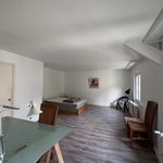 Huur 6 slaapkamer appartement in Elsene