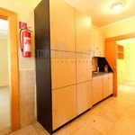Rent 1 bedroom apartment of 446 m² in Jáchymov