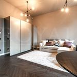 Rent 1 bedroom apartment of 47 m² in Bergamo