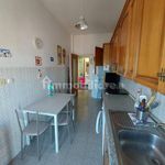Affitto 3 camera appartamento di 70 m² in Ladispoli