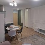 Rent 1 bedroom apartment of 33 m² in Krośniewice