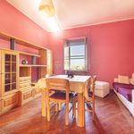 Rent 3 bedroom apartment of 75 m² in Viterbo