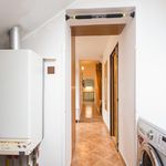 Pronajměte si 4 ložnic/e byt o rozloze 123 m² v Rakovník