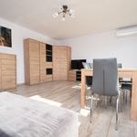 Rent 2 bedroom apartment of 48 m² in Tułowice