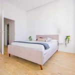 Rent a room of 150 m² in Santa Cruz de Tenerife