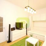 Rent 2 bedroom apartment of 35 m² in Praha