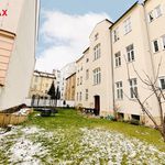 Rent 2 bedroom apartment of 54 m² in Budweis