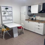 Affitto 1 camera appartamento di 60 m² in Albenga