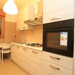 Rent a room of 65 m² in Milano