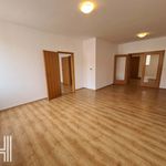 Rent 1 bedroom house of 114 m² in Prostějov