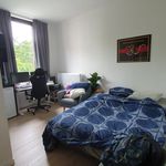 Rent a room of 15 m² in Leuven