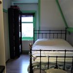 Rent 1 bedroom apartment of 30 m² in 's-Gravenhage