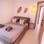 Rent 2 bedroom house of 80 m² in Mykonos
