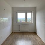 Rent 3 bedroom apartment of 76 m² in Ibbenbüren