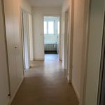 Rent 5 bedroom apartment of 76 m² in Liestal