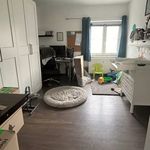 Rent 3 bedroom apartment of 74 m² in Duisburg