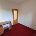Rent 1 bedroom apartment in Bor