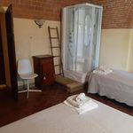 Rent 1 bedroom house of 55 m² in Pontedera