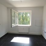 Miete 3 Schlafzimmer wohnung von 67 m² in Essen