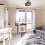 Rent 1 bedroom apartment of 19 m² in Bielsko-biała