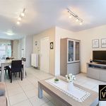 Rent 1 bedroom apartment of 63 m² in Mechelen-Aan-De-Maas