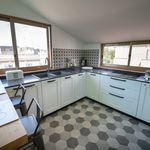 Affitto 1 camera appartamento di 60 m² in Montegiorgio