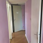 Rent 4 bedroom apartment of 55 m² in Nancy