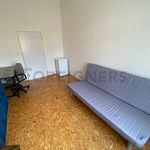 Rent 1 bedroom apartment of 13 m² in Brno