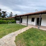 Rent 3 bedroom house of 65 m² in Carovigno