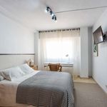 Rent a room of 150 m² in Alacant