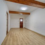 Rent 1 bedroom house of 109 m² in Chrast
