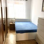Rent 2 bedroom apartment of 43 m² in Olsztyn