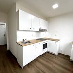 Rent 1 bedroom apartment of 37 m² in Ostrava