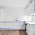 Rent 3 bedroom house of 100 m² in Borup