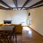 Rent 1 bedroom house of 44 m² in Rivas-Vaciamadrid
